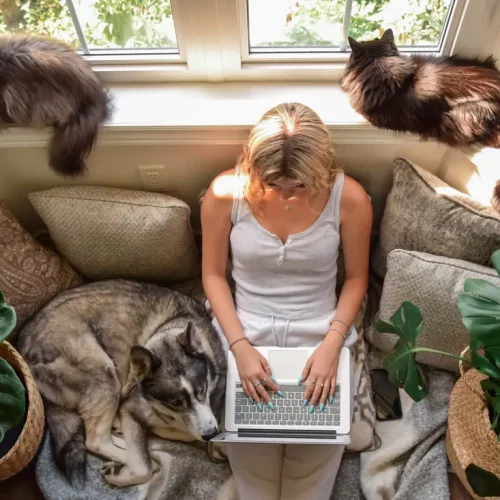 istock-1500700376_orig